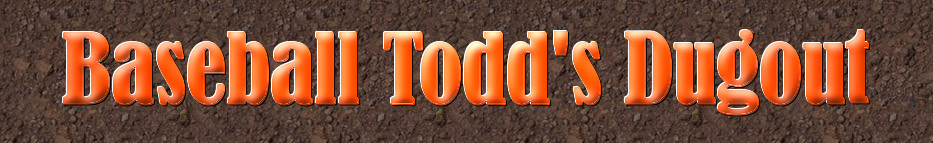 The unofficial website for any and all baseball fans!